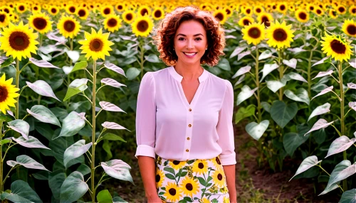 sunflower field,sunflowers,field of flowers,flower field,sunflower lace background,yellow daisies,sun daisies,susans,girl in flowers,sun flowers,flowers field,sunflower,sunflower paper,daisies,yelang,australian daisies,helianthus,blooming field,flower background,helianthus sunbelievable,Unique,Paper Cuts,Paper Cuts 07