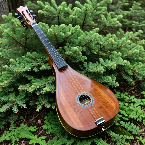 cittern,mandola,bouzouki,ukulele,theorbo,mandolin,balalaika,charango,classical guitar,stringed bowed instrument,plucked string instrument,dulcimer,lutenist,stradivari,wooden instrument,stringed instrument,ukelele,ukuleles,psaltery,mandolins