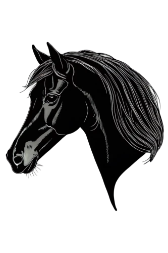 black horse,equus,darkhorse,melanism,blackhorse,friesian,derivable,lonhro,painted horse,frison,chevaux,cheval,vector graphic,bucephalus,pegasys,equine,sleipnir,pegaso,equato,nighthorse,Illustration,Retro,Retro 23