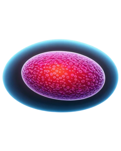 ovule,spheroids,nucleolus,ovules,ovum,subcellular,ellipsoid,intercellular,ellipsoids,supercilium,vesicles,vesicle,liposomes,cell structure,vacuole,embryogenesis,anabaena,oocyte,microvesicles,cytogenetic,Conceptual Art,Sci-Fi,Sci-Fi 05