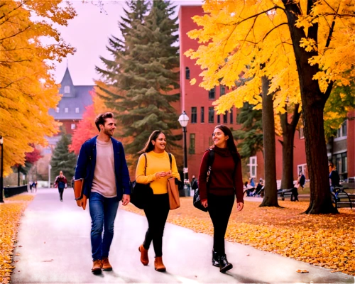 autumn background,autumn walk,schulich,middlebury,fall foliage,laurentian,uvm,umaine,in the fall,fall,aashiqui,fall season,sanam,dilwale,campuswide,chinar,lakehead,autumn in the park,uoit,burdeau,Photography,Documentary Photography,Documentary Photography 35