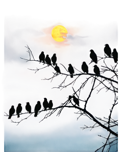 moonlit night,moonlighted,birds on branch,moon and foliage,birds on a branch,purple moon,nightfall,moonlit,predawn,nocturnal bird,twilight,dreamscapes,crescent moon,moonglow,moonrise,hanging moon,full moon,moon and star background,moonshadow,moon photography,Conceptual Art,Fantasy,Fantasy 12
