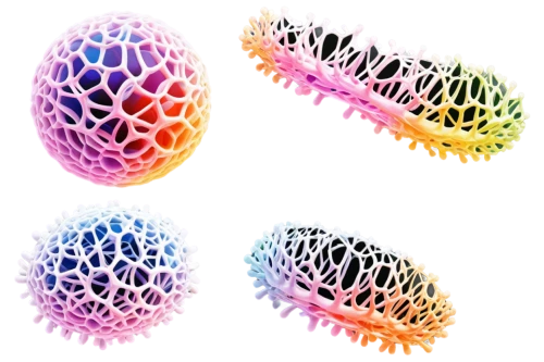 eggs,colorful eggs,colored eggs,oviducts,ovules,cell structure,embryogenesis,embryos,protostomes,organelle,ellipsoids,microcapsules,gel capsules,eukaryotes,spermatogenesis,ovule,vesicles,gradient mesh,spherules,spermatozoa,Photography,Fashion Photography,Fashion Photography 26