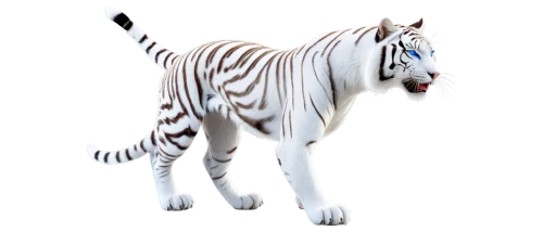 diamond zebra,zebra,white bengal tiger,white tiger,tiger png,zebre,zebra pattern,quagga,plains zebra,derivable,piebald,albino horse,3d model,a tiger,bolliger,a white horse,dubernard,lion white,ruettiger,electric donkey,Illustration,Retro,Retro 05