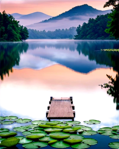 mountainlake,evening lake,tranquility,beautiful lake,high mountain lake,mountain lake,lily pond,landscape background,stillness,lotus pond,japan landscape,calmness,blue ridge mountains,lily pads,calm water,forest lake,tranquillity,lilly pond,beautiful landscape,lake tanuki,Illustration,Children,Children 01