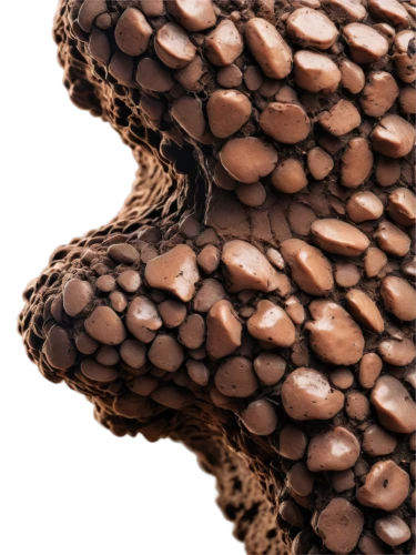 cocoa beans,coffee beans,leopardskin,mandelbulb,java beans,chocolate chips,coffee background,callebaut,cytokeratin,texturing,render,trypophobia,3d rendered,microkernels,rendered,fir cone,brown mushrooms,seamless texture,pine cone pattern,extruded,Art,Classical Oil Painting,Classical Oil Painting 26