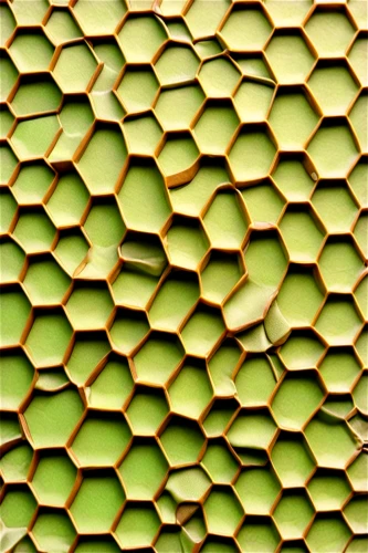 honeycomb grid,turtle pattern,honeycomb structure,building honeycomb,hexagons,tile,hexagonal,fruit pattern,voronoi,quasicrystal,tiles shapes,hexagon,glass tiles,diamond pattern,lemon pattern,pineapple pattern,tessellation,clover pattern,tiles,ceramic tile,Illustration,Japanese style,Japanese Style 02