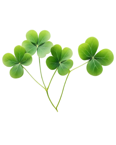 clovers,4-leaf clover,four-leaf clover,three leaf clover,five-leaf clover,four leaf clover,lucky clover,4 leaf clover,clover leaves,spring leaf background,shamrock,patrol,a four leaf clover,pot of gold background,shamrocks,st patrick's day icons,medium clover,shamrock balloon,aaaa,green wallpaper,Art,Artistic Painting,Artistic Painting 06