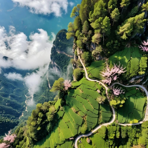 the valley of flowers,taroko,southeast switzerland,tianchi,japanese alps,eastern switzerland,lauterbrunnen,switzerland,brienz,bernese oberland,bernese highlands,japan landscape,suisse,svizzera,canton of glarus,swiss alps,guizhou,suiza,interlaken,transfagarasan