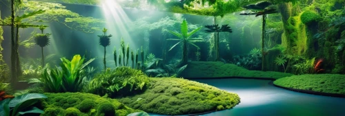 tropical forest,aquatic plants,rainforests,rain forest,underwater oasis,rainforest,underwater landscape,tropical jungle,green forest,aquatic plant,green waterfall,tropica,fairy forest,green trees with water,nature wallpaper,water plants,swamps,amazonia,moss landscape,jungles,Photography,General,Realistic