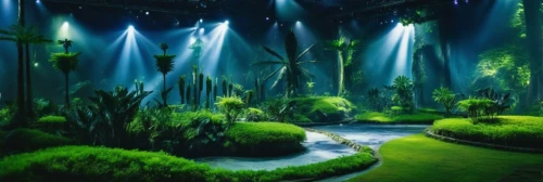 rain forest,rainforests,rainforest,fairy forest,enchanted forest,tropical forest,green forest,fairy world,elven forest,forest of dreams,biopiracy,fairytale forest,amazonia,greenforest,jungles,fairyland,garden of eden,philodendrons,tropical jungle,bamboo forest,Photography,General,Realistic