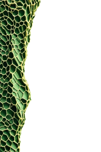 cactus digital background,mermaid scales background,gradient mesh,voronoi,fractal environment,chlorophylls,seamless texture,meshing,tropical leaf pattern,chlorophyll,green wallpaper,mandelbulb,fractals,background ivy,perlin,fractal,photosynthetic,chloropaschia,enmeshing,fern leaf,Art,Classical Oil Painting,Classical Oil Painting 20