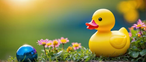 easter background,spring background,easter chicks,springtime background,duckling,rubber ducks,easter chick,rubber duckie,patos,ornamental duck,easter decoration,flower background,easter goose,rubber duck,flowerpeckers,spring bird,diduck,tulip background,easter theme,ostern,Photography,Fashion Photography,Fashion Photography 18