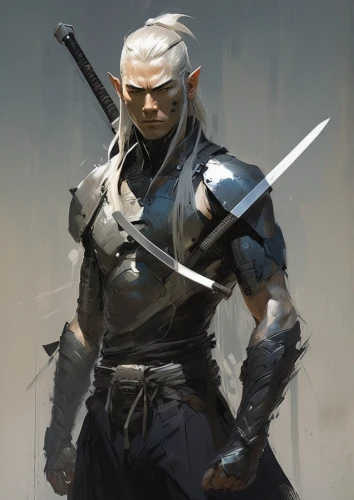 geralt,kenway,kenshi,drizzt,vergil,mengsk,witcher,swain,raiden,drow,ventress,mercenary,wodrow,fenris,impa,hawke,skotnikov,devotio,cullen,sokka,Conceptual Art,Fantasy,Fantasy 10