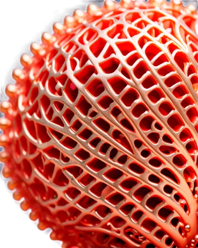 calliostoma,bryozoan,bryozoa,nucleocapsid,cytoskeletal,red crinoid,vasculature,vesicles,strainer,welded wire mesh,nanotube,vesicle,cockscomb,liposomes,vesicular,nanotubes,coccolithophores,bryozoans,pseudopod,red thread,Conceptual Art,Sci-Fi,Sci-Fi 03