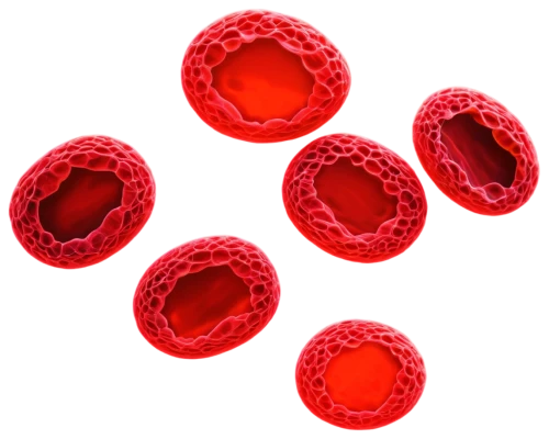 hemoglobinuria,erythrocytes,eosinophil,leukocytes,arenavirus,cryptosporidiosis,thrombocytopenic,thrombocytopenia,thromboembolism,thrombophilia,babesiosis,lipoprotein,eosinophils,keratinocytes,pancytopenia,erythropoiesis,lyssavirus,microvesicles,septicemia,vesicles,Illustration,Paper based,Paper Based 08