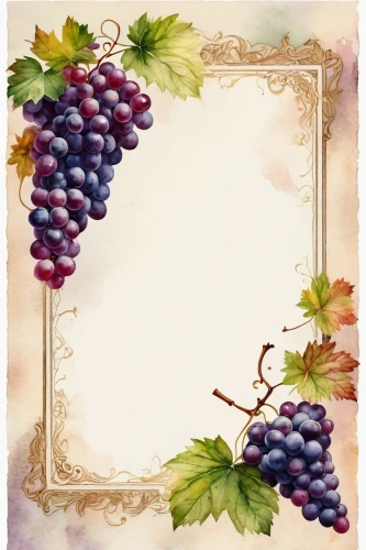grape vine,wine grape,wine grapes,purple grapes,table grapes,grapevines,winegrape,grapes,fresh grapes,grape vines,blue grapes,red grapes,wood and grapes,vineyard grapes,grape harvest,viniculture,sangiovese,barbera,to the grape,vitis,Photography,General,Fantasy