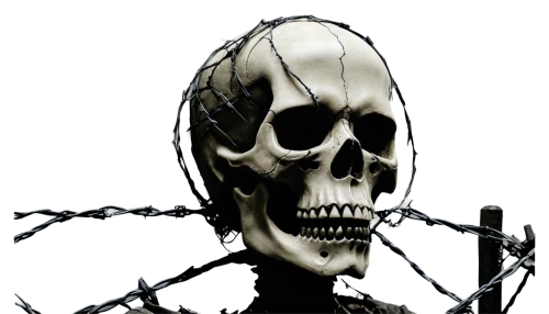 endoskeleton,skull statue,skull sculpture,skeletonized,vintage skeleton,human skeleton,skeleton,skull mask,skeletal,skull bones,skulled,scull,skelemani,skelly,day of the dead skeleton,skelton,skull drawing,death head,skullduggery,skulked,Photography,Fashion Photography,Fashion Photography 25