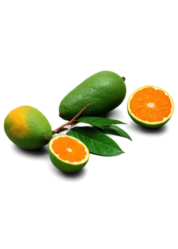 green oranges,asian green oranges,tangerines,green tangerine,kumquat,citrus plant,citrus,oranges,orange fruit,tangerine fruits,tangerine tree,satsuma,orange tree,lemon background,citrus fruit,mandarin oranges,orangi,citrus fruits,citrus sinensis,orange slices,Photography,Fashion Photography,Fashion Photography 24