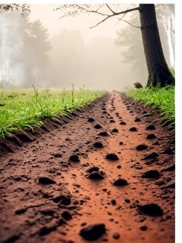 dusty road,dirt road,trail,the path,appalachian trail,unpaved,singletrack,wooden track,asphalt road,path,chemin,pathway,forest path,trackway,tire track,country road,footpath,the mystical path,wooden path,gravelled,Art,Artistic Painting,Artistic Painting 09