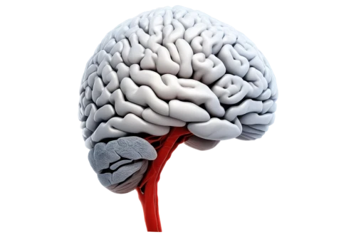 neurovascular,cerebrovascular,brain icon,neuromodulation,neuralgia,thalamocortical,neurodegenerative,encephalopathies,neurorehabilitation,neuromuscular,frontotemporal,thalamic,neurophysiological,encephalopathy,neuroprotection,neurosurgical,amygdala,cortical,brainlab,neurogenesis,Illustration,Abstract Fantasy,Abstract Fantasy 14