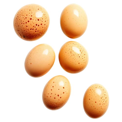 brown eggs,eggs,chicken eggs,colored eggs,white eggs,bird eggs,egg shells,broken eggs,painted eggs,range eggs,spherules,oviducts,bread eggs,fresh eggs,ovules,raw eggs,lots of eggs,the painted eggs,egg yolks,embryos,Conceptual Art,Daily,Daily 04