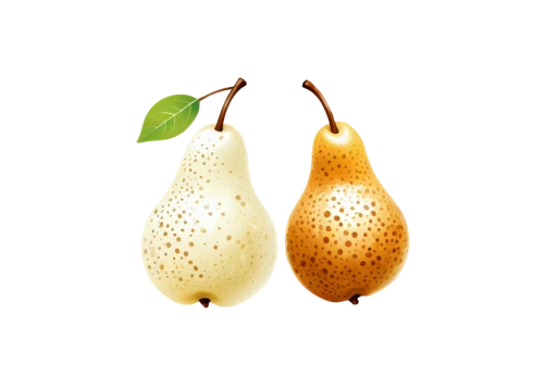 pear cognition,locoroco,decorative squashes,pears,bulbs,poire,pear,mandora,ornamental gourds,gourds,garlic bulb,islamic lamps,pseudobulbs,seedpods,cocoons,bee eggs,aubergines,fireflies,garlic bulbs,starfruit,Unique,Design,Logo Design