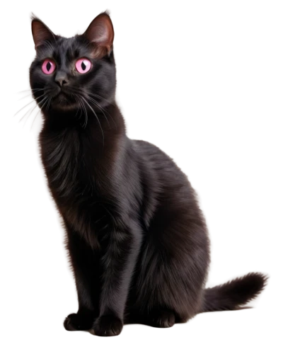 ravenpaw,melanism,pyewacket,cat vector,black cat,pet black,shadowclan,brambleclaw,bagheera,salem,melanistic,graystripe,cat portrait,halloween black cat,chiaroscuro,pet portrait,dark portrait,gray cat,purgatoire,lumo,Conceptual Art,Daily,Daily 26