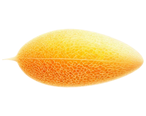 muskmelon,lemon background,sun,egg,cantaloupe,ovule,cantalupo,fruit of the sun,nucleocapsid,cantaloupes,nanosolar,melon,cobolli,golden egg,spheroids,slice of lemon,lemon wallpaper,sunburst background,hesperange,etrog,Illustration,Realistic Fantasy,Realistic Fantasy 25