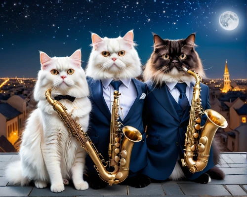 cat pageant,saxophonists,jazztet,orchestre,brass band,serenaders,big band,vintage cats,instrumentalists,musicians,orchesta,cat family,saxman,compositeurs,cat european,timpanists,symphony orchestra,musique,music band,orkester,Photography,General,Natural