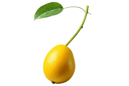 lemon background,lemon wallpaper,slice of lemon,lemon,lemon tree,lemon half,limoncello,lemon - fruit,lemon juice,citron,half slice of lemon,limonene,lemon lemon,lemons,citrus,yellow background,limeade,lemon flower,lemony,pear cognition,Illustration,Abstract Fantasy,Abstract Fantasy 21