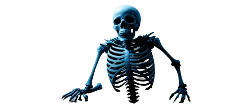 skeletal,human skeleton,skeleton,vintage skeleton,skelemani,skelly,mermaid skeleton,skeleltt,osteoporotic,skeletal structure,endoskeleton,boneparth,spook,skeletons,calcium,spookily,xray,osteoporosis,skelton,skeletonized,Illustration,Children,Children 06