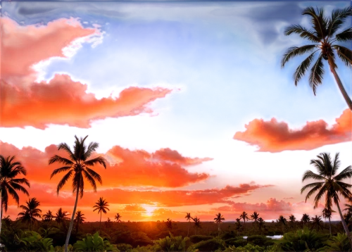 palms,palmtrees,palm trees,cuba background,coconut palms,dusk background,coconut trees,palm forest,watercolor palm trees,two palms,royal palms,haulover,palmtops,landscape background,south pacific,hawai,palm tree,tahiti,palm pasture,tropic,Illustration,Realistic Fantasy,Realistic Fantasy 20