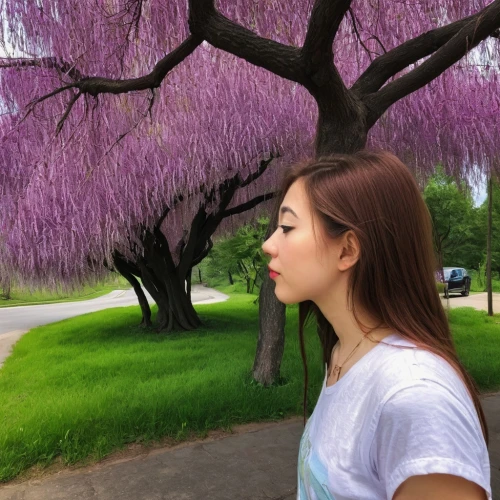 lilac tree,chidori is the cherry blossoms,girl with tree,jacaranda trees,jacarandas,jacaranda,the japanese tree,blooming trees,cherry trees,the girl next to the tree,weeping willow,cercis,blossom tree,gleditsia,metasequoia,wisteria,flower tree,japanese sakura background,blooming tree,cherry tree,Unique,Paper Cuts,Paper Cuts 01