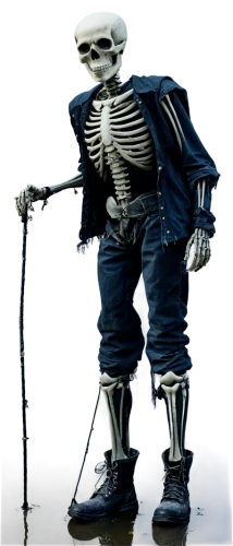 skelemani,skeletal,calcium,skeleltt,vintage skeleton,endoskeleton,osteoporotic,skelly,doot,sans,spookily,spookiest,skeletons,osteoporosis,calcium pools,human skeleton,skelton,spookier,boneparth,skeleton,Photography,Documentary Photography,Documentary Photography 07