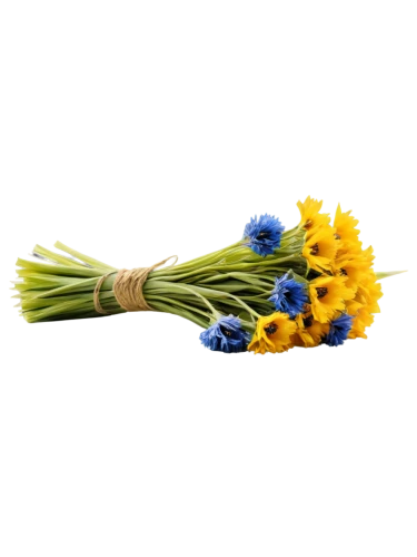 flowers png,flower background,artificial flower,ikebana,dandelion background,straw flower,sunflower lace background,cut flowers,bookmark with flowers,boutonniere,artificial flowers,flower arrangement lying,flower decoration,flower wallpaper,flower illustrative,decorative flower,yellow rose background,flower arrangement,flower design,flowers in basket,Art,Classical Oil Painting,Classical Oil Painting 26