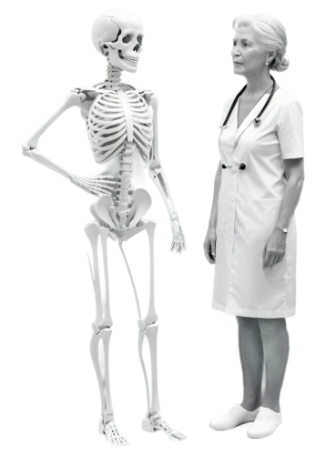 osteoporotic,osteopath,osteoporosis,radiography,osteopaths,skeletal,orthopedists,orthopedics,radiographs,osteopathic,osteopathy,radiographers,radiograph,radiologic,radiographer,radiology,anatomists,radiographic,orthopedist,human skeleton,Unique,Paper Cuts,Paper Cuts 03