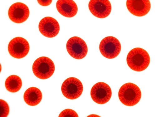 leukocytes,eosinophils,keratinocytes,erythrocytes,liposomes,adipocyte,keratinocyte,microarrays,lipoprotein,oocyte,dot background,cells,spherules,erythrocyte,eosinophil,apolipoprotein,dot,lipoproteins,incyte,red matrix,Illustration,Paper based,Paper Based 01