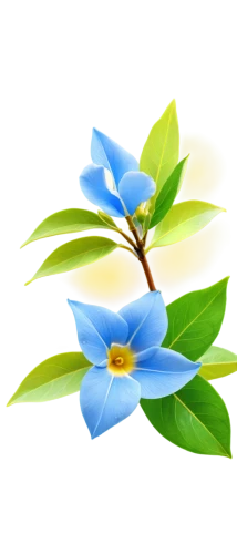 flowers png,flower background,flower wallpaper,spring leaf background,blu flower,blue flower,blue petals,paper flower background,flower illustrative,blue flowers,blue butterfly background,windows wallpaper,floral background,transparent background,nature background,flower illustration,wood daisy background,floral digital background,starflower,lotus png,Conceptual Art,Daily,Daily 35