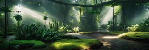 elven forest,green forest,fairy forest,forest glade,enchanted forest,rainforest,greenforest,rainforests,tropical forest,forest path,forest floor,cartoon video game background,the forest,verdant,mushroom landscape,rain forest,moss landscape,holy forest,fairytale forest,fairy world,Photography,General,Realistic