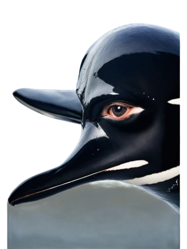 3d crow,kormoran,beak black,pingu,petrel,gaviota,sharp beak,albatross,tilikum,northern whale dolphin,sea swallow,fish tern,seabird,penguin,earthrace,antarctic bird,bird png,cygnes,blackbirdest,puffinus,Art,Artistic Painting,Artistic Painting 31