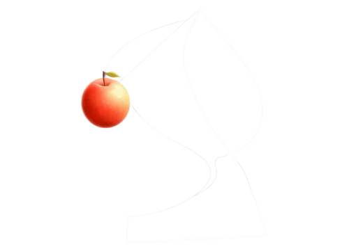 apricot,apple monogram,apple icon,pear cognition,growth icon,pomodoro,pear,orang,analemma,apple logo,sirisanont,golden apple,copper rock pear,rss icon,water apple,nectarine,peachpit,psidium,rock pear,manzana,Photography,Documentary Photography,Documentary Photography 22