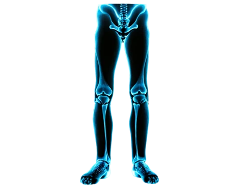 osteoarthritis,osteoporotic,osteocalcin,osteopathy,musculoskeletal,osteogenic,osteomalacia,osteopath,biomechanically,neuromuscular,osteopathic,orthopedics,osteopenia,osteomyelitis,hyperparathyroidism,tibialis,osteopontin,osteopaths,metatarsus,gastrocnemius,Art,Classical Oil Painting,Classical Oil Painting 24