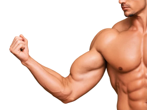 muscularity,musculature,clenbuterol,gynecomastia,obliques,body building,muscleman,muscadelle,pec,muscularly,muscle angle,sinewy,hypertrophy,trenbolone,virility,muscle icon,vasodilation,intermuscular,dextrin,muscular,Art,Classical Oil Painting,Classical Oil Painting 16