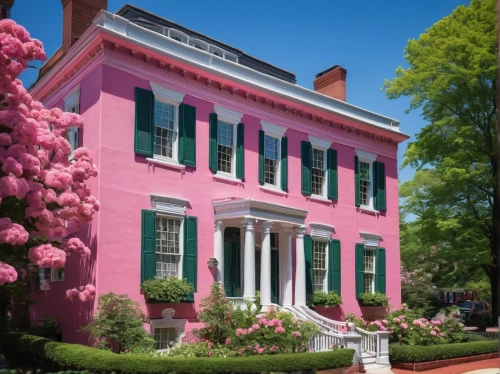 rowhouses,old colonial house,natchez,henry g marquand house,reynolda,dillington house,pink magnolia,rowhouse,monticello,italianate,pink azaleas,headhouse,mansard,albemarle,shepherdstown,federalsburg,eastover,virginia,annapolis,uva,Photography,Documentary Photography,Documentary Photography 06