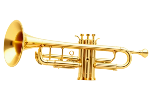 gold trumpet,saxhorn,trumpet gold,trumpet,brass instrument,flugelhorn,tuba,fanfare horn,trumpet shaped,instrument trumpet,trumpet of jericho,drawing trumpet,stallybrass,trumpet valve,climbing trumpet,american climbing trumpet,sousaphone,trumpeter,mellophone,trombone,Unique,Pixel,Pixel 01