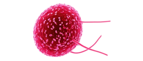 escherichia coli,mitochondrion,mitochondrial,paramecium,flagella,pylori,chloropaschia,klebsiella,mitochondria,eukaryote,spermatozoa,golgi,protozoa,protozoans,prokaryotes,clostridium,spermatozoon,spermatogonia,supercilia,protozoan,Illustration,Abstract Fantasy,Abstract Fantasy 02