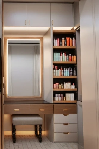 bookcase,walk-in closet,minibar,cosmetics counter,bookshelves,bookcases,storage cabinet,cupboard,armoire,pantry,bookshelf,apothecary,cabinetry,shoe cabinet,biotherm,beauty room,bellocq,wardrobes,compartments,perfumery