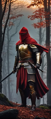 wavelength,ornstein,cleanup,auditore,red,zorthian,red riding hood,redcoat,iron mask hero,malazan,lone warrior,the wanderer,gravgaard,guardsmark,danelaw,shanderman,elseneer,aldranon,legionary,red tunic,Conceptual Art,Daily,Daily 26