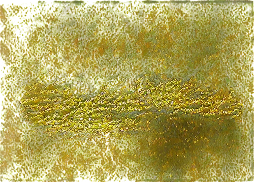 tree texture,watercolour texture,forest moss,tree moss,green tree phyton,veil yellow green,fir-tree branches,hydrilla,fir branches,prickly branches pine,sporophyte,pine branches,watermilfoil,bryophyte,flora abstract scrolls,natural brush,feather bristle grass,bryophytes,sporophytes,elderflower,Illustration,Retro,Retro 21